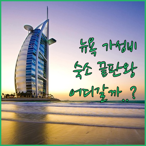 뉴욕 암스테르담 숙소 추천 마이크로텔 vs 슈퍼 8 가성비 및 시설 비교 분석