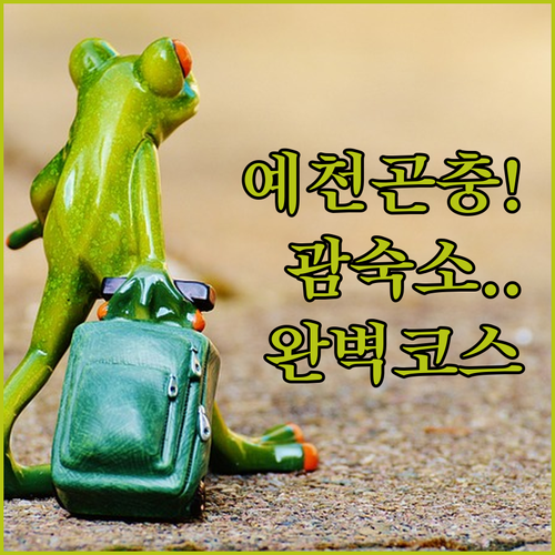 예천 곤충생태원 나들이 코스와 아이랑 가기 좋은 괌 호텔 추천 숙소 정보