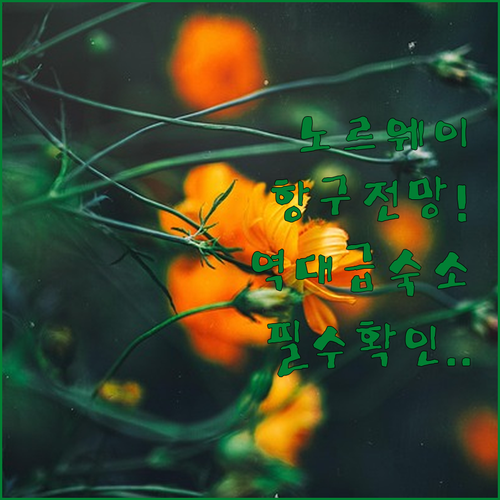 노르웨이 스볼베르 항구 전망 좋은 호텔과 깨끗한 빌라 상세 정보 공유