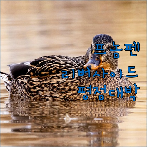 프놈펜 리버사이드 숙소 추천 평점 높은 호텔 4곳 비교 후기