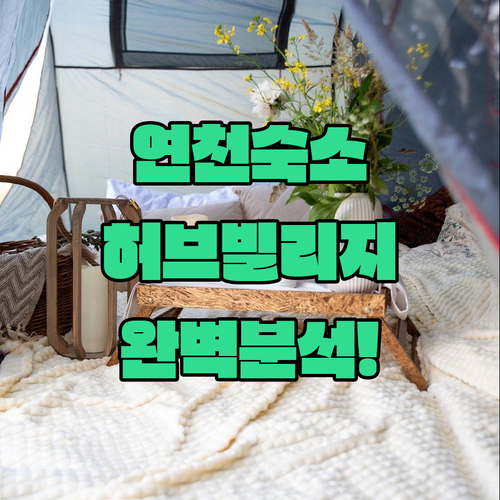 직접 가본 연천 숙소 추천 허브빌리지부터 전곡역 근처까지 분석