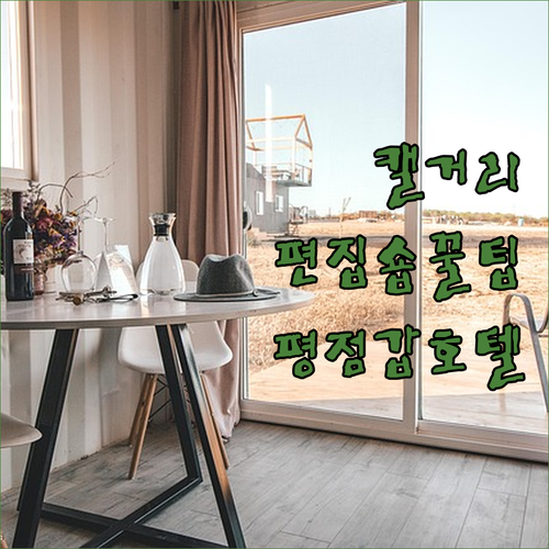 캐나다 캘거리 편집숍 쇼핑 꿀팁 및 이포 터미널 근처 평점 높은 호텔 분석
