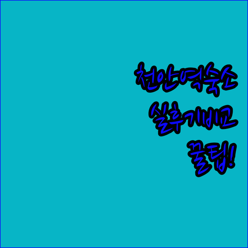 천안역 주변 숙소 5곳 실제 후기로 보는 위치 청결도 OTT 시설 비교