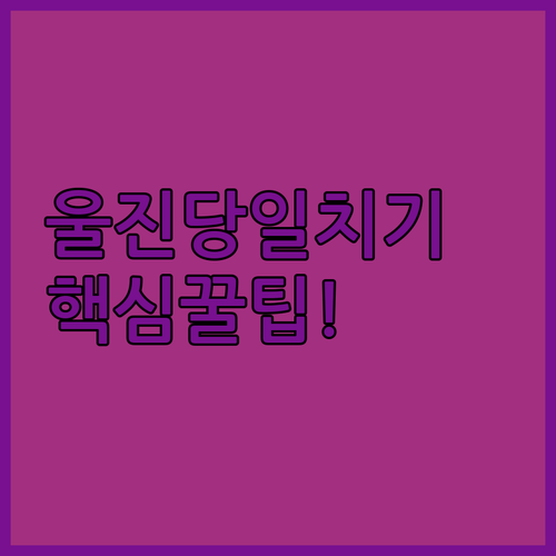 바다노을하우스펜션 중심 울진 당일치기 여행 코스 이동시간 거리 추천