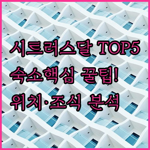 시트러스달 숙소 추천 TOP 5 위치 장점 후기 분석 조식 시설 알아보기
