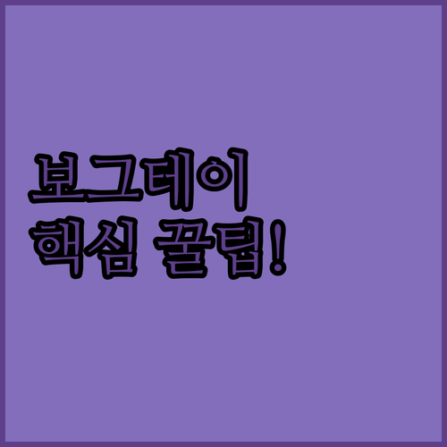 독일 프랑켄로다 보그테이 숙소 추천 TOP 3 위치 장점 후기 비교 분석 예약 링크 알아보기