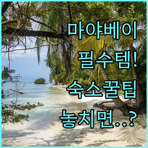 푸켓 마야 베이 계절별 필수 준비물과 숙소별 편의점 접근성 분석
