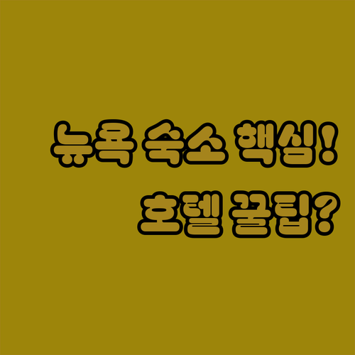 뉴욕 여행 숙소 고르기 위치별 호텔 후기와 시설 분석